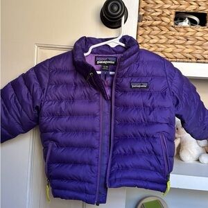 Patagonia Kids Vibrant Purple Puffer Jacket